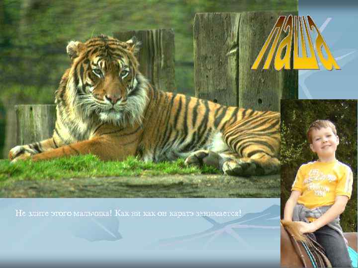 Не злите этого мальчика! Как ни как он каратэ занимается! 