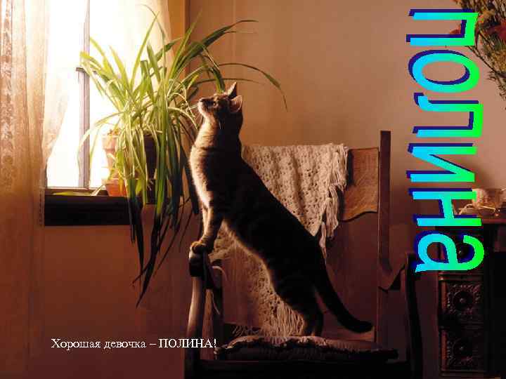 Хорошая девочка – ПОЛИНА! 