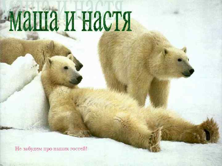 Не забудем про наших гостей! 