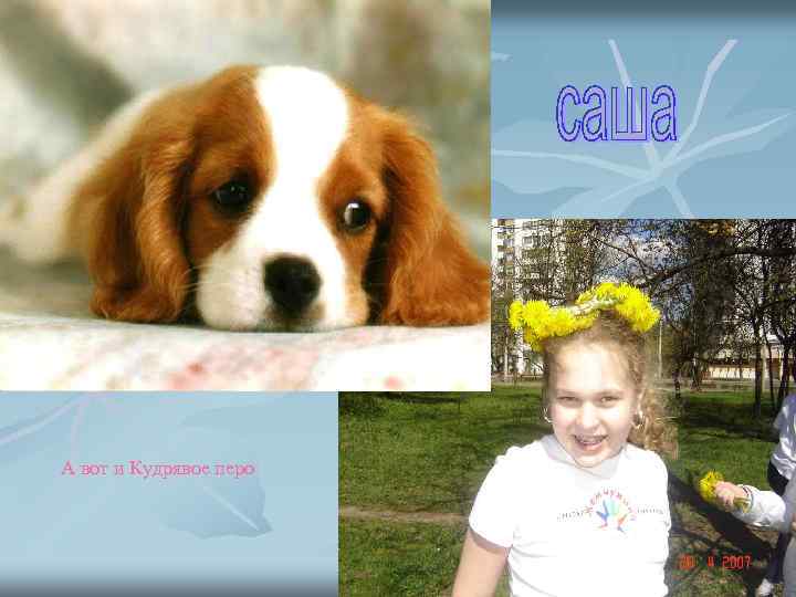 А вот и Кудрявое перо 