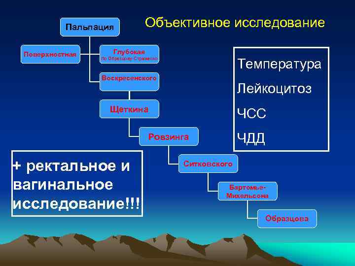 Пальпация Поверхностная Объективное исследование Глубокая Температура По Образцову-Стражеско Воскресенского Лейкоцитоз Щеткина ЧСС ЧДД Ровзинга