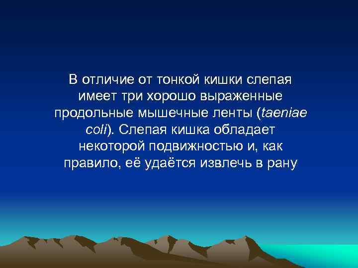 В отличие от тонкой кишки слепая имеет три хорошо выраженные продольные мышечные ленты (taeniae