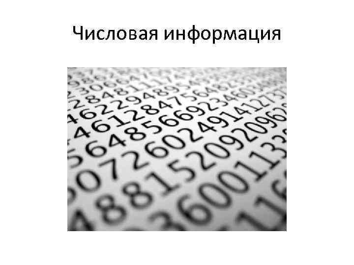 Числовая информация 