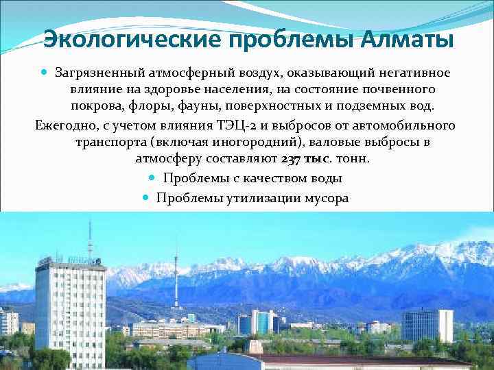 Группа старшеклассников работает над проектом экологическая ситуация в нашем крае проблемы