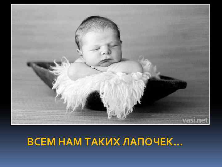 ВСЕМ НАМ ТАКИХ ЛАПОЧЕК… 
