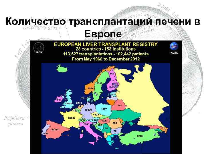 Количество трансплантаций печени в Европе 