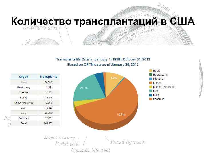 Количество трансплантаций в США 