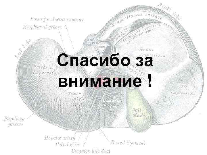 Спасибо за внимание ! 