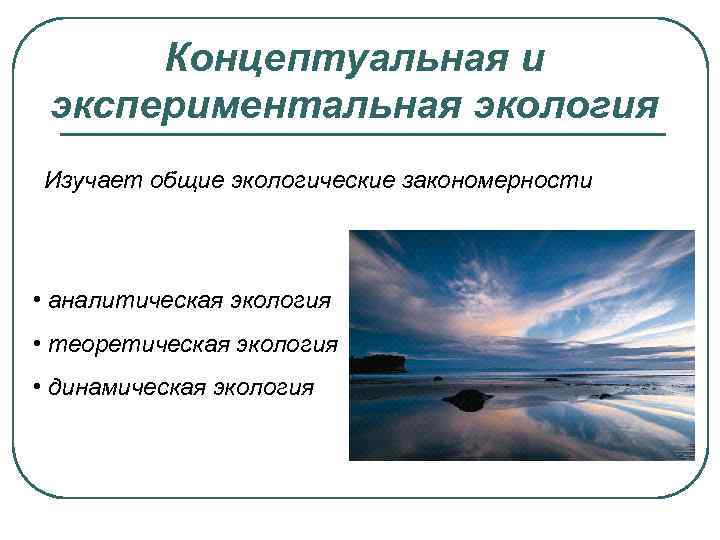 Концептуальная и экспериментальная экология Изучает общие экологические закономерности • аналитическая экология • теоретическая экология