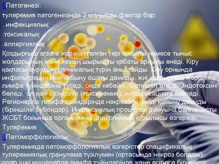 §Патогенезі: туляремия патогенезінде 3 маңызды фактор бар: . инфекциялық. токсикалық. аллергиялық Қоздырғыш ағзаға жарақатталған