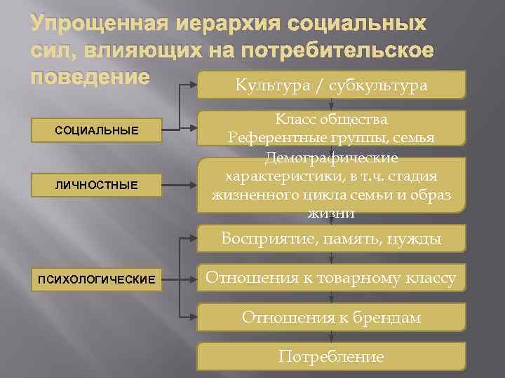 Упрощенная иерархия социальных сил, влияющих на потребительское поведение Культура / субкультура СОЦИАЛЬНЫЕ ЛИЧНОСТНЫЕ Класс