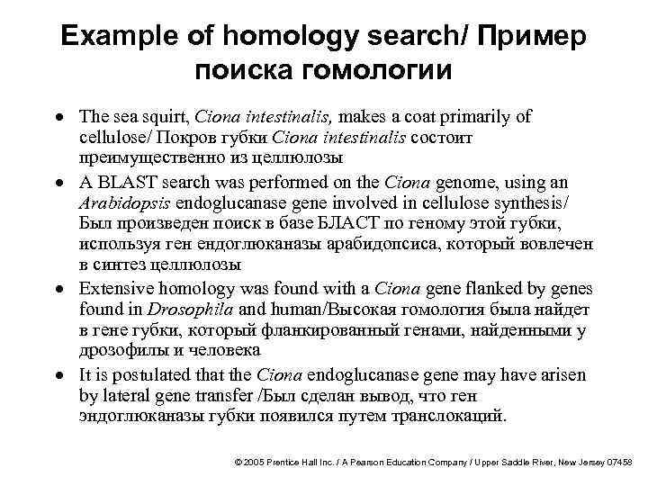 Example of homology search/ Пример поиска гомологии · The sea squirt, Ciona intestinalis, makes
