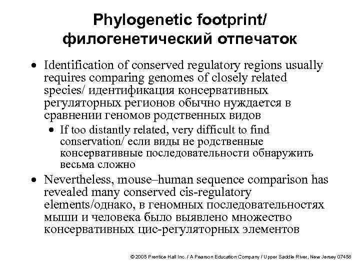 Phylogenetic footprint/ филогенетический отпечаток · Identification of conserved regulatory regions usually requires comparing genomes