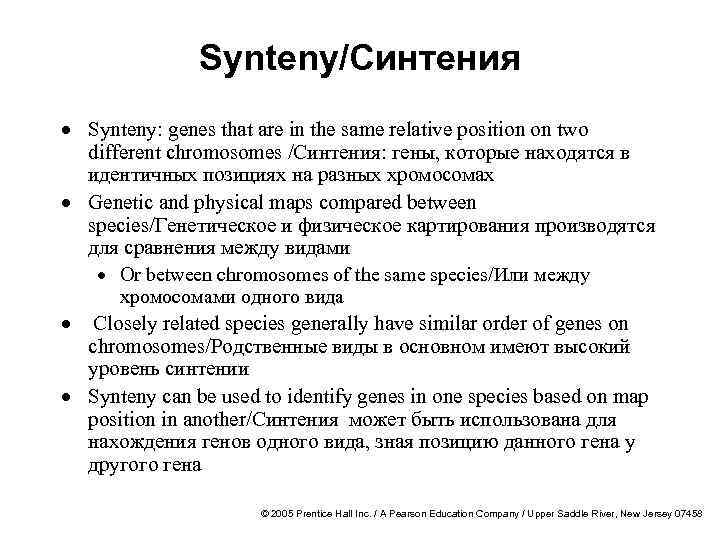 Synteny/Синтения · Synteny: genes that are in the same relative position on two different