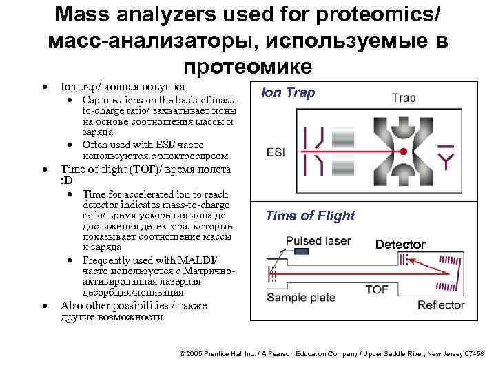 · · · Mass analyzers used for proteomics/ масс-анализаторы, используемые в протеомике Ion trap/
