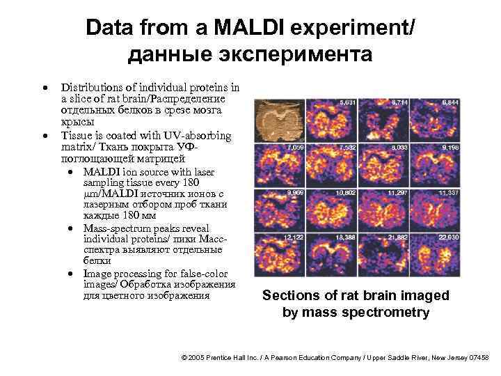 Data from a MALDI experiment/ данные эксперимента · · Distributions of individual proteins in