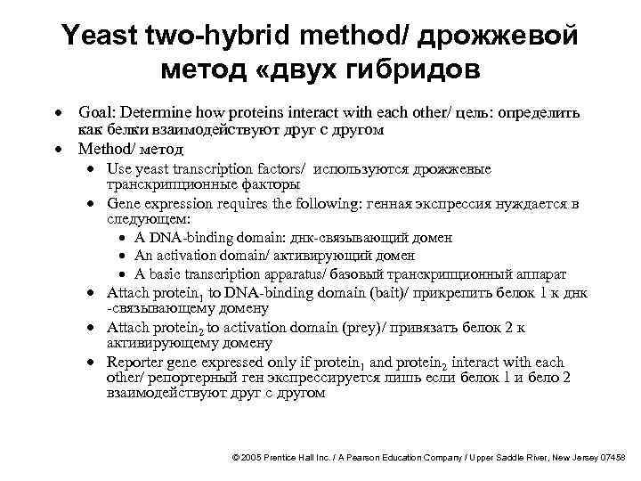 Yeast two-hybrid method/ дрожжевой метод «двух гибридов · Goal: Determine how proteins interact with