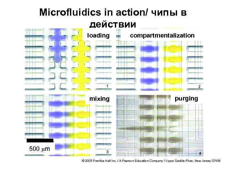 Microfluidics in action/ чипы в действии loading mixing compartmentalization purging 500 mm © 2005