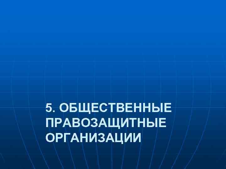 5. ОБЩЕСТВЕННЫЕ ПРАВОЗАЩИТНЫЕ ОРГАНИЗАЦИИ 