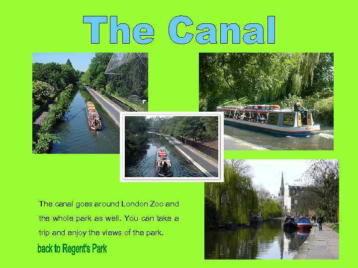 The canal goes around London Zoo and the whole park as well. You can