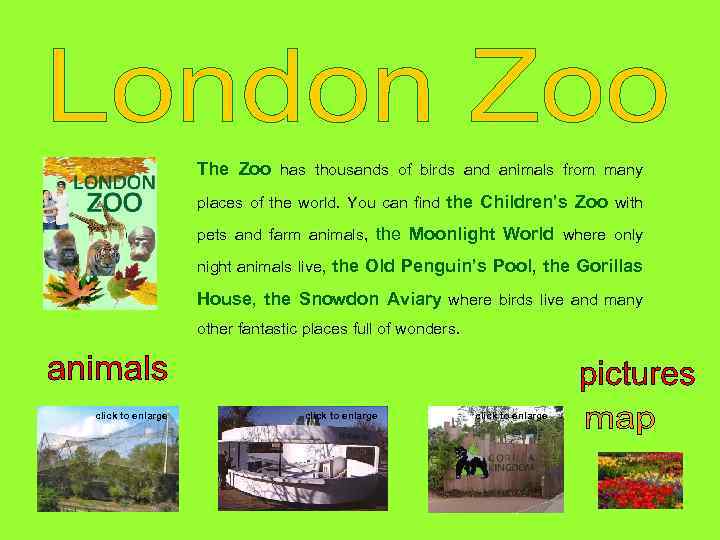 The Zoo has thousands of birds and animals from many places of the world.