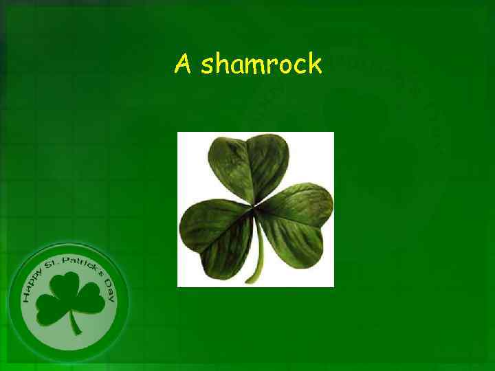 A shamrock 