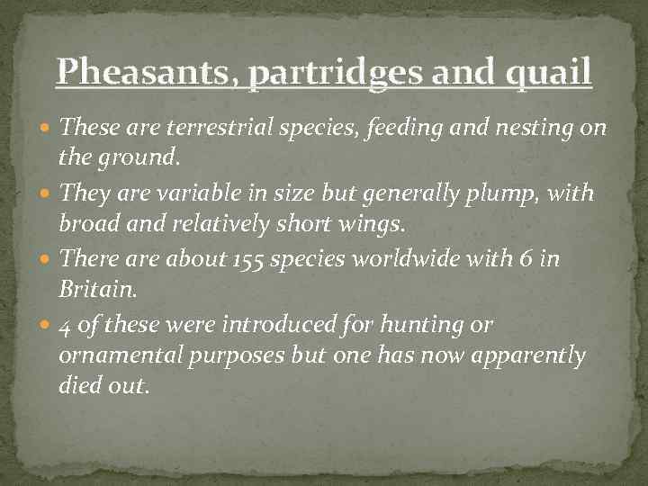 Pheasants, partridges and quail These are terrestrial species, feeding and nesting on the ground.