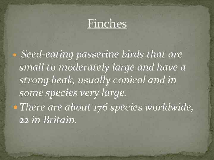 Finches Seed-eating passerine birds that are small to moderately large and have a strong