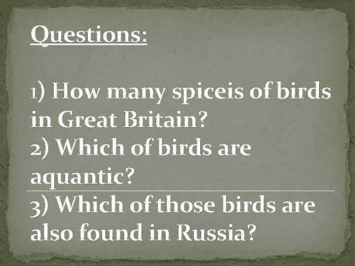 Questions: 1) How many spiceis of birds in Great Britain? 2) Which of birds