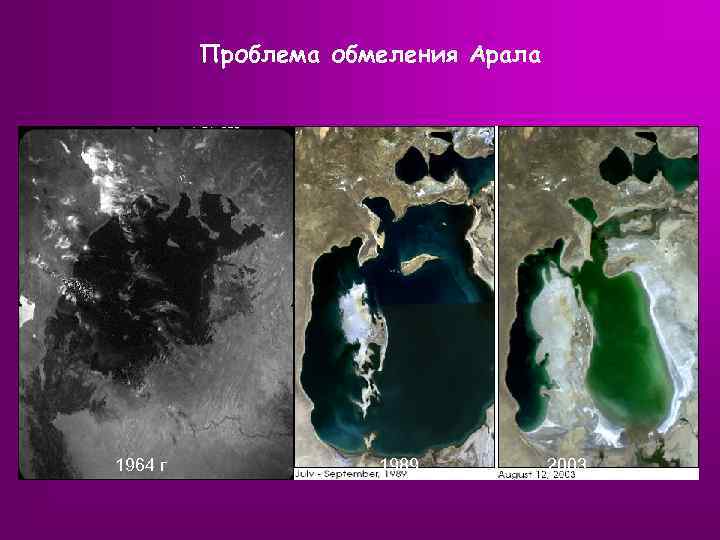 Проблема обмеления Арала 1964 г 1989 2003 