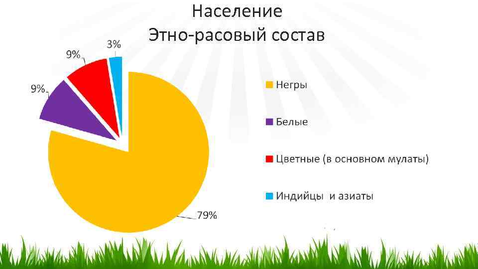 Население Этно-расовый состав 