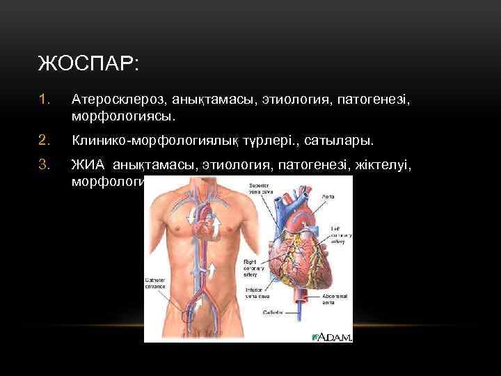 ЖОСПАР: 1. Атеросклероз, анықтамасы, этиология, патогенезі, морфологиясы. 2. Клинико-морфологиялық түрлері. , сатылары. 3. ЖИА