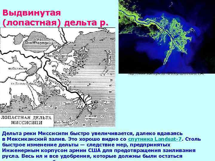 Выдвинутая (лопастная) дельта р. Миссисипи http: //www. vokrugsveta. ru/telegraph/theory/134/ Дельта реки Миссисипи быстро увеличивается,