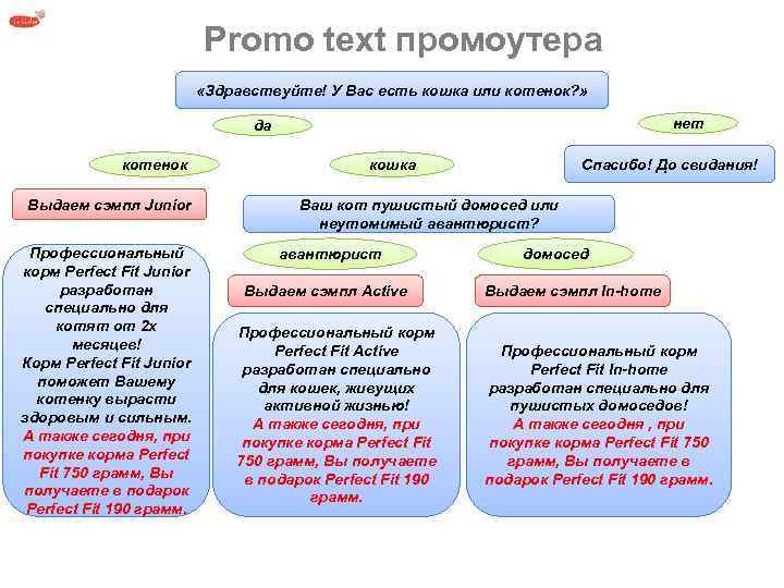 Promo text промоутера «Здравствуйте! У Вас есть кошка или котенок? » нет да котенок