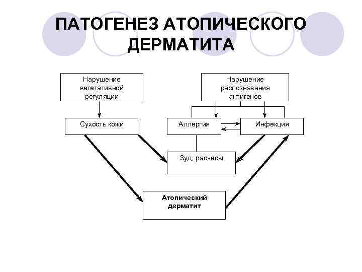 ПАТОГЕНЕЗ АТОПИЧЕСКОГО ДЕРМАТИТА Нарушение вегетативной регуляции Сухость кожи Нарушение распознавания антигенов Аллергия Зуд, расчесы
