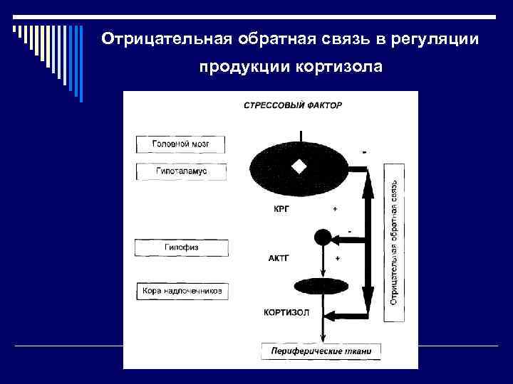 Петля обратной связи