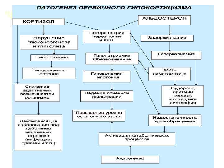 Педиатрия в схемах и таблицах