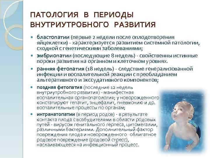 ПАТОЛОГИЯ В ПЕРИОДЫ ВНУТРИУТРОБНОГО РАЗВИТИЯ бластопатии (первые 2 недели после оплодотворения яйцеклетки) характеризуется развитием