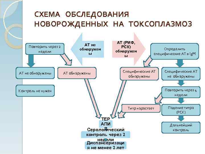 СХЕМА ОБСЛЕДОВАНИЯ НОВОРОЖДЕННЫХ НА ТОКСОПЛАЗМОЗ Повторить через 2 недели АТ не обнаружены АТ не