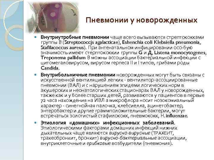 Пневмонии у новорожденных Внутриутробные пневмонии чаще всего вызываются стрептококками группы В (Streptococcjs agalacticae), Eshenchia
