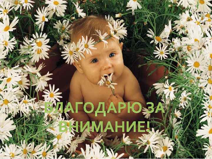 БЛАГОДАРЮ ЗА ВНИМАНИЕ! 