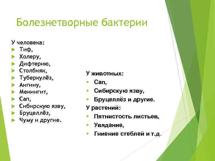 Болезнетворные бактерии У человека: Тиф, Холеру, Дифтерию, Столбняк, Туберкулёз, Ангину, Менингит, Сап, Сибирскую язву,