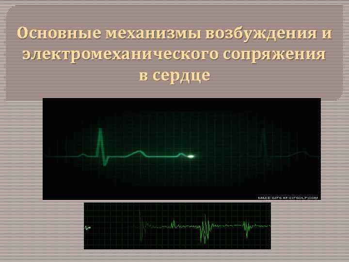 Основные механизмы возбуждения и электромеханического сопряжения в сердце 