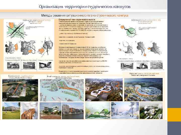 Организация территории студенческих кампусов 