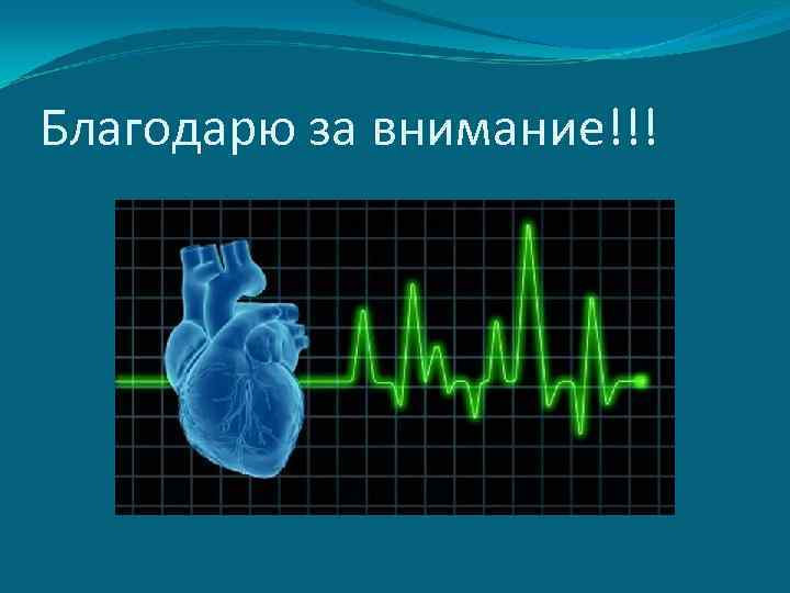 Благодарю за внимание!!! 