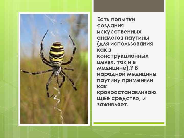 Есть попытки создания искусственных аналогов паутины (для использования как в конструкционных целях, так и