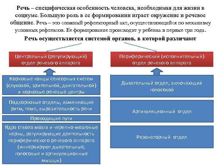 Речь – специфическая особенность человека, необходимая для жизни в социуме. Большую роль в ее