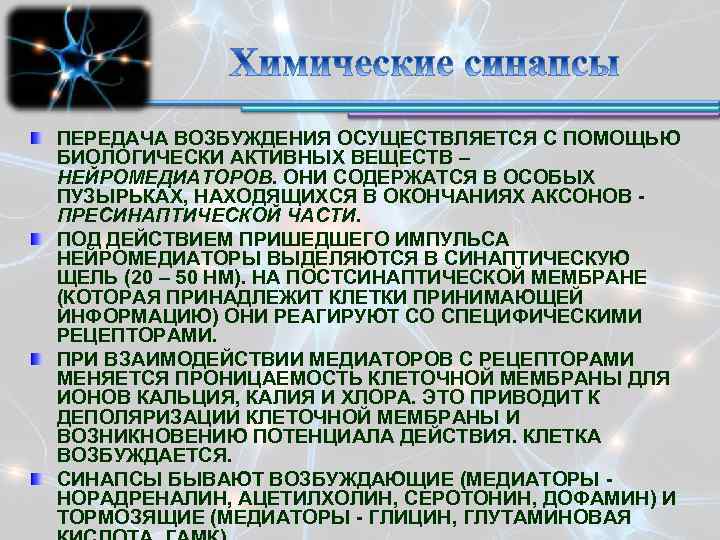 ПЕРЕДАЧА ВОЗБУЖДЕНИЯ ОСУЩЕСТВЛЯЕТСЯ С ПОМОЩЬЮ БИОЛОГИЧЕСКИ АКТИВНЫХ ВЕЩЕСТВ – НЕЙРОМЕДИАТОРОВ. ОНИ СОДЕРЖАТСЯ В ОСОБЫХ