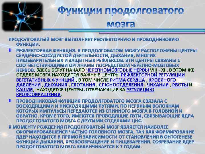 ЗДЕСЬ БЕРУТ НАЧАЛО ЧЕРЕПНОМОЗГОВЫЕ НЕРВЫ VIII - XII. В ЭТОМ ЖЕ ОТДЕЛЕ МОЗГА НАХОДЯТСЯ