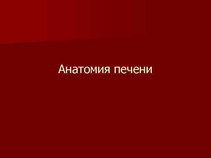 Анатомия печени 